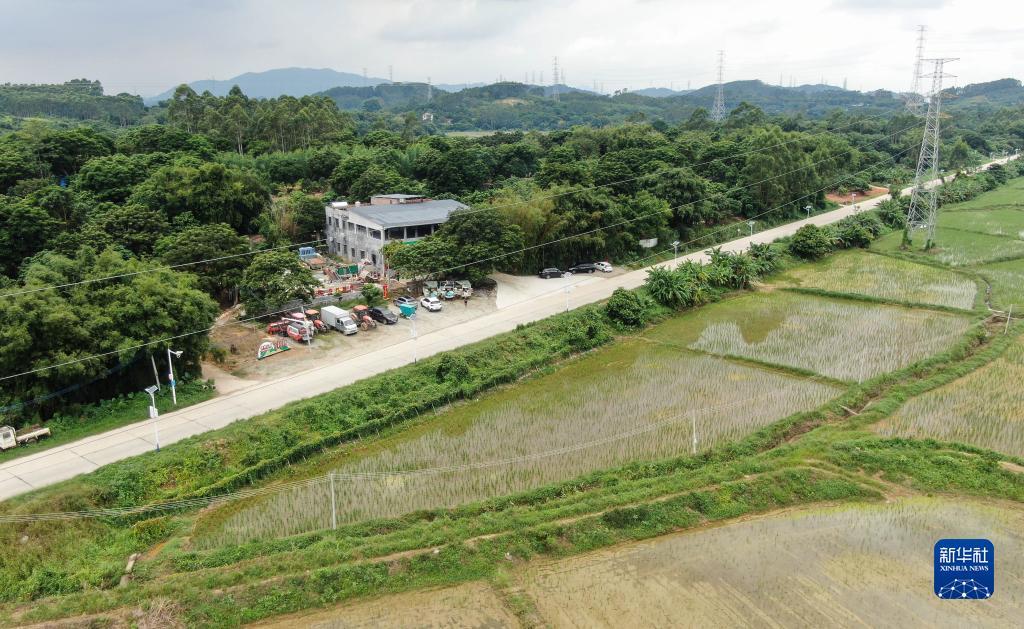 澳门新永利113